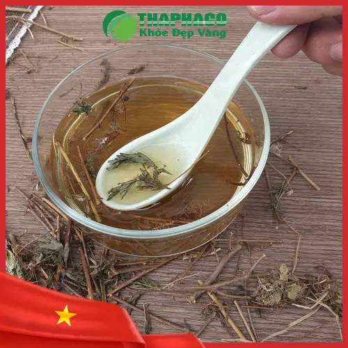 Sản phẩm cây xấu hổ khô chất lượng từ THAPHACO