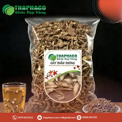 Hình ảnh tổng thể cây Dây Thần Thông với thân leo và lá