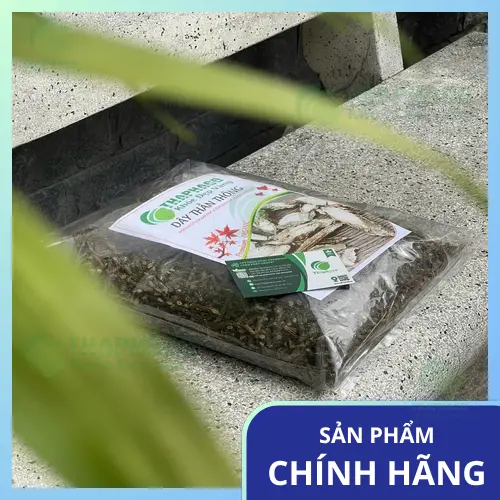 Lợi ích hỗ trợ sức khỏe từ cây thần thông