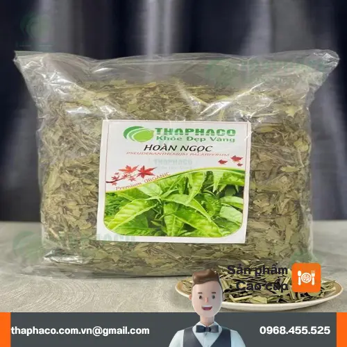 Quy trình sơ chế lá Hoàn Ngọc khô tại THAPHACO