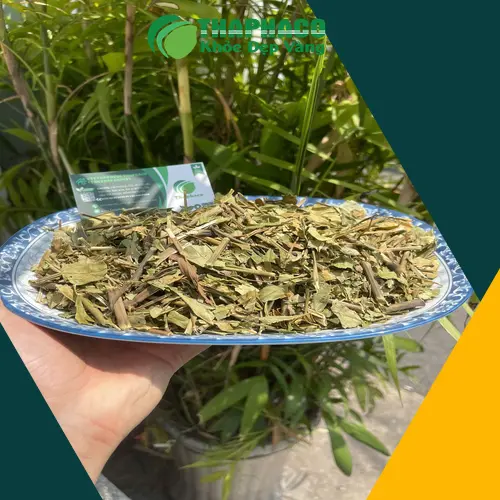Lá hoàn ngọc khô bị mốc và cách nhận biết