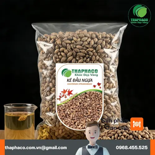 Mua Thương Nhĩ Tử Khô (Ké Đầu Ngựa Khô) Giá Tốt Tại Thaphaco