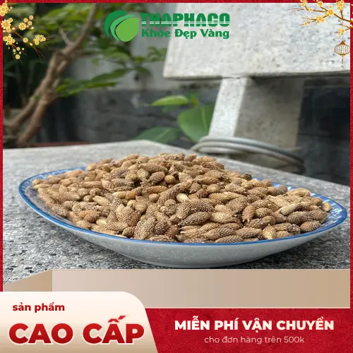Dược liệu Thương Nhĩ Tử chất lượng cao