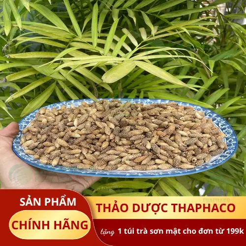 Thaphaco cung cấp Thương Nhĩ Tử khô uy tín
