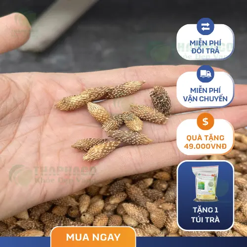 Cách nấu nước ké đầu ngựa khô