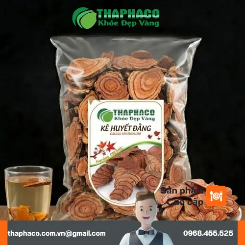Hình ảnh cây Kê Huyết Đằng trong tự nhiên
