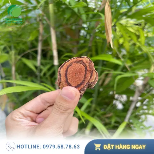 Kê Huyết Đằng khô dạng lát tại THAPHACO