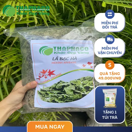 Trà bạc hà pha sẵn cho bé