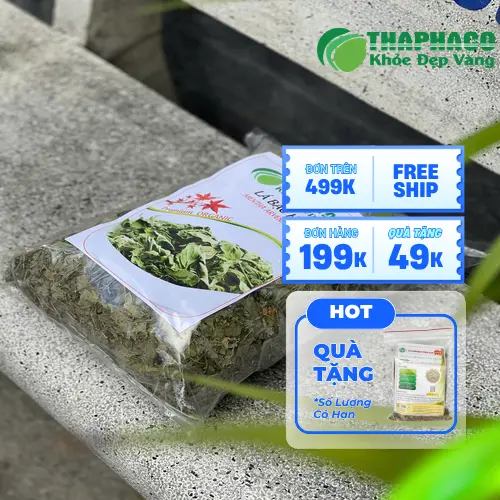 Lá bạc hà khô dùng pha trà hỗ trợ thư giãn