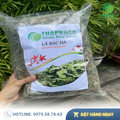 Công dụng hỗ trợ của lá bạc hà khô