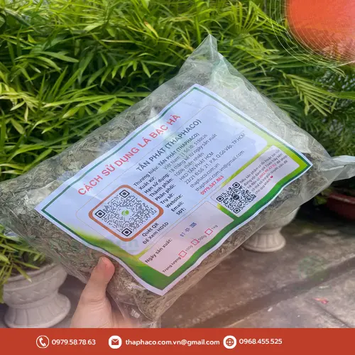 Quy trình sản xuất bạc hà khô tại THAPHACO