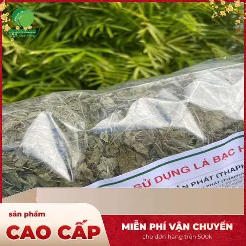 Pha trà bạc hà đúng cách
