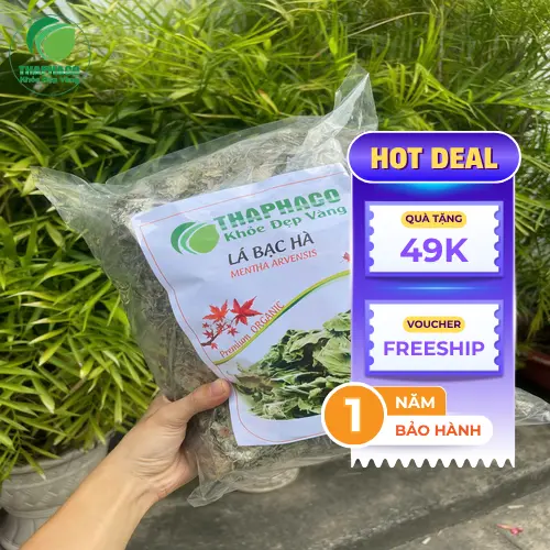 Phân biệt lá bạc hà khô và tinh dầu bạc hà