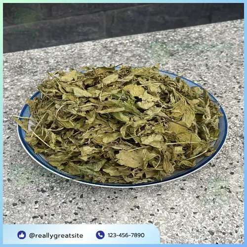 Đối tượng sử dụng lá bạc hà khô