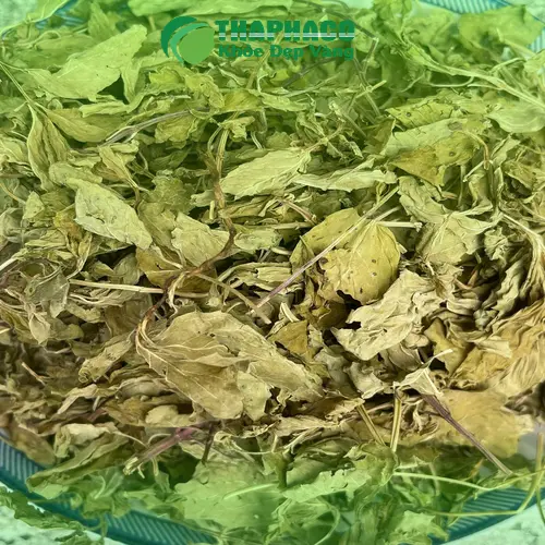 Lưu ý khi sử dụng bạc hà cho trẻ em