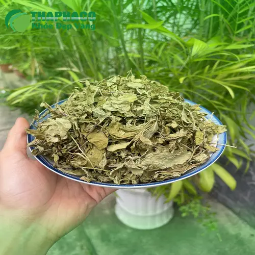 Lưu ý khi sử dụng lá bạc hà khô an toàn
