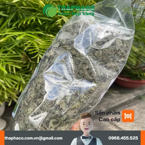 Lý do chọn mua bạc hà khô THAPHACO