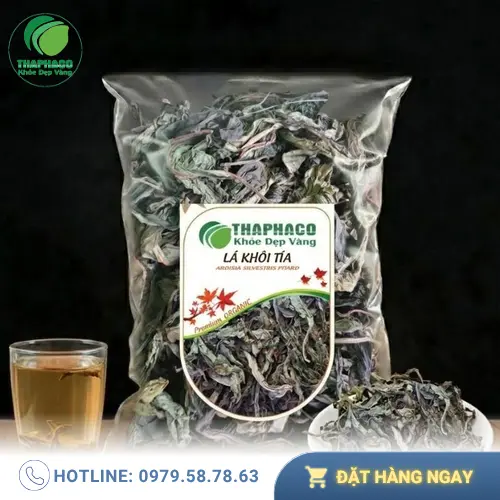 Hình ảnh Lá Khôi Tía khô và đặc điểm nhận biết