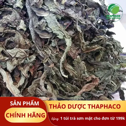 Lá Khôi Tía khô hỗ trợ làm lành vết loét dạ dày