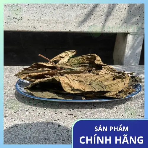 Hướng dẫn cách dùng Lá Khôi Tía khô hiệu quả