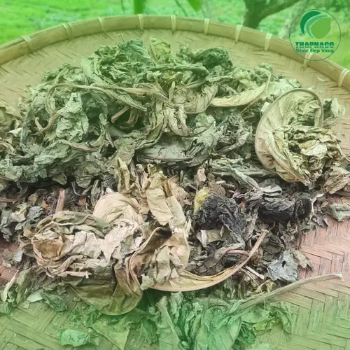 Hình ảnh trà Lá Khôi Tía khô, đã được pha chế và sẵn sàng để uống
