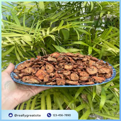 Táo mèo sấy khô nguyên chất được tuyển chọn kỹ lưỡng
