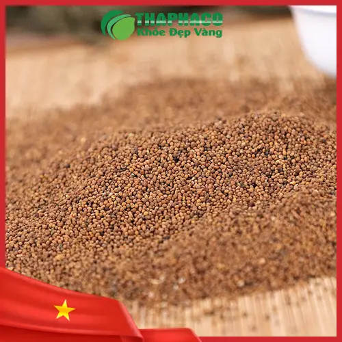 Nam giới cần tránh 5 sai lầm khi dùng Thỏ Ty Tử