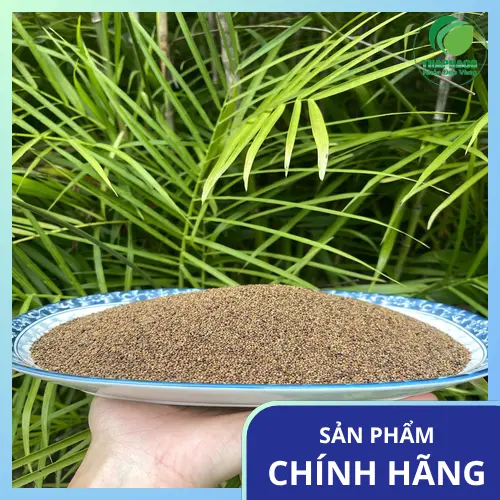 Địa chỉ mua Thỏ Ty Tử tại TP.HCM
