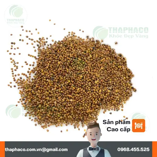 Giải đáp các câu hỏi về Thỏ Ty Tử