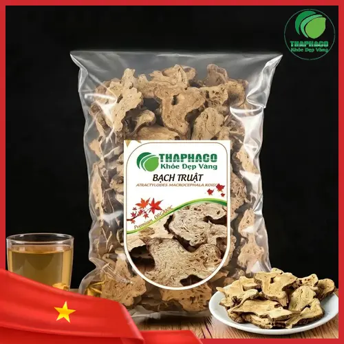 Bạch Truật là gì