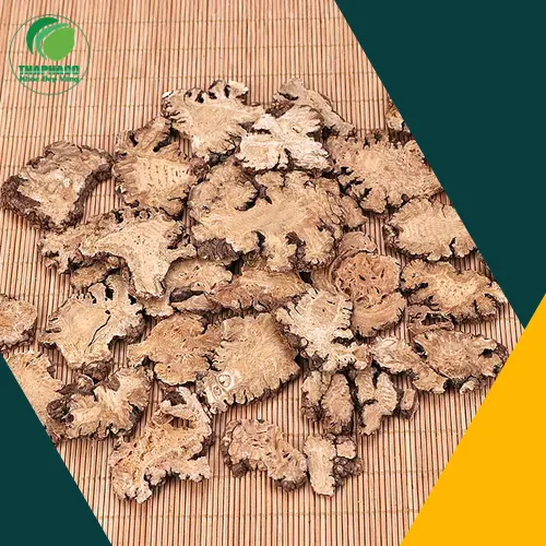 Cách dùng Bạch Truật khi mang thai an toàn
