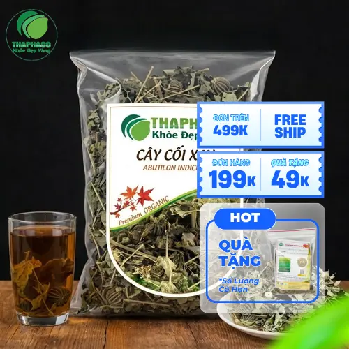 Cách hãm trà cây cối xay khô đúng cách