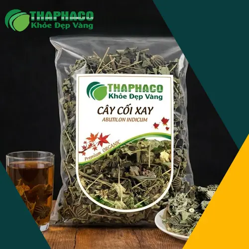 Hình ảnh cây cối xay với hoa và quả