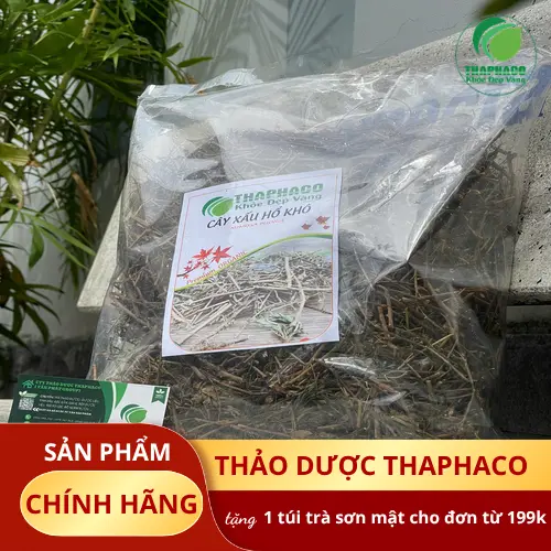Quy trình phơi khô cây xấu hổ tự nhiên