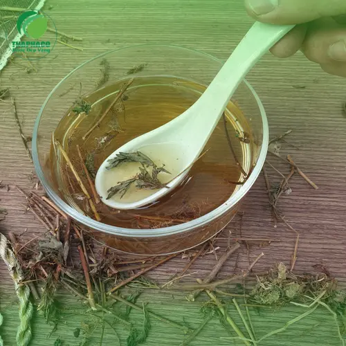 Sản phẩm cây xấu hổ khô sạch tại THAPHACO
