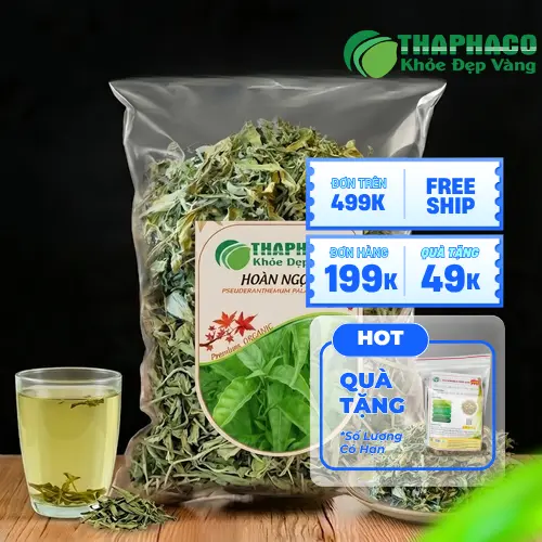 Hình ảnh tổng thể cây Hoàn Ngọc