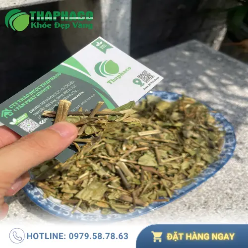Hình ảnh lá Hoàn Ngọc Đỏ
