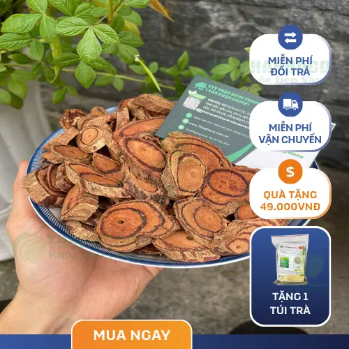 Lưu ý và thận trọng khi dùng Kê Huyết Đằng