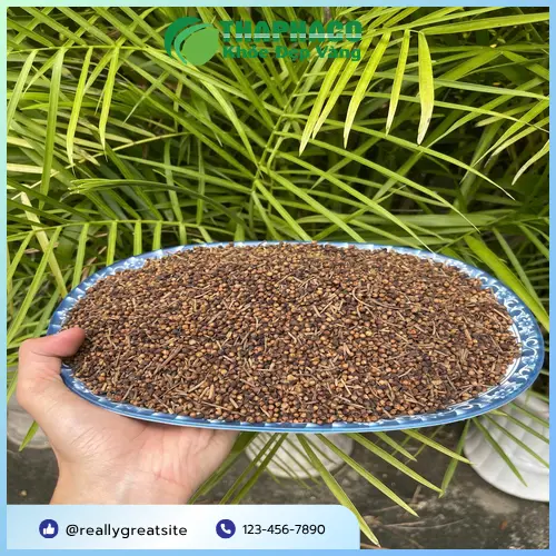 Nụ vối THAPHACO được đóng gói cẩn thận