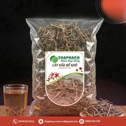 Toàn cảnh cây xấu hổ mọc tự nhiên
