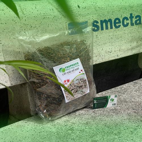 Lá cây xấu hổ cụp lại khi chạm vào