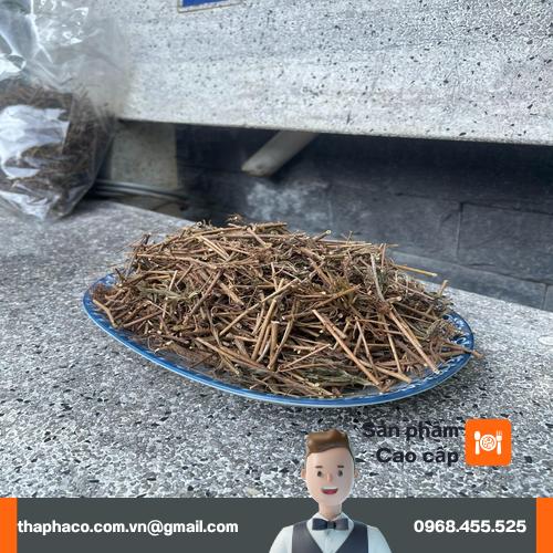 Sơ chế thảo dược cây xấu hổ khô