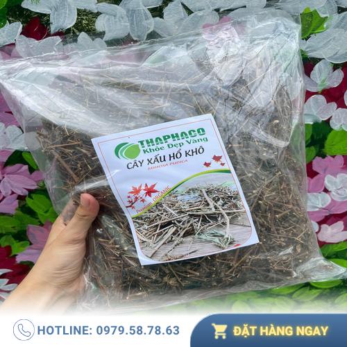 Sản phẩm cây xấu hổ khô đóng gói