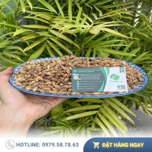 Đặc điểm quả ké đầu ngựa sấy khô