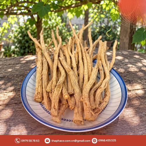 Sản phẩm phòng phong khô chất lượng cao