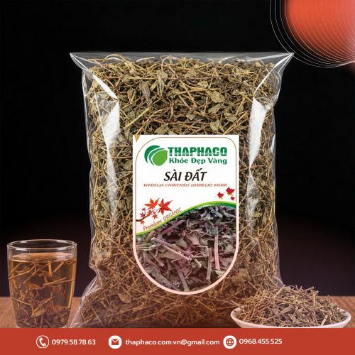Toàn cảnh cây sài đất mọc tự nhiên trong vườn
