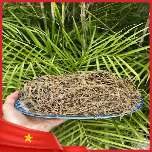 Sai lầm thường gặp khi dùng sài đất khô pha chế sai cách