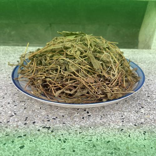 Đặc điểm chi tiết lá và hoa cây sài đất