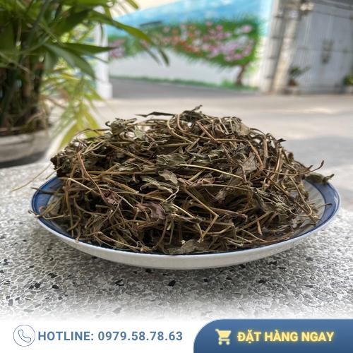 Lưu ý quan trọng khi sử dụng sài đất khô cho trẻ em