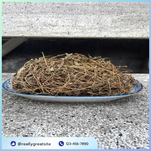 Sài đất tươi được rửa sạch chuẩn bị sử dụng